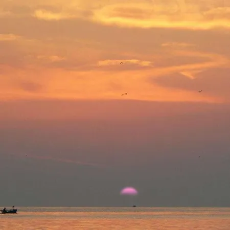 Istarski San Istrian Dream