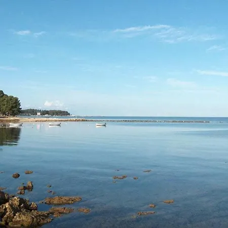 Istarski San Istrian Dream Σπίτι διακοπών *