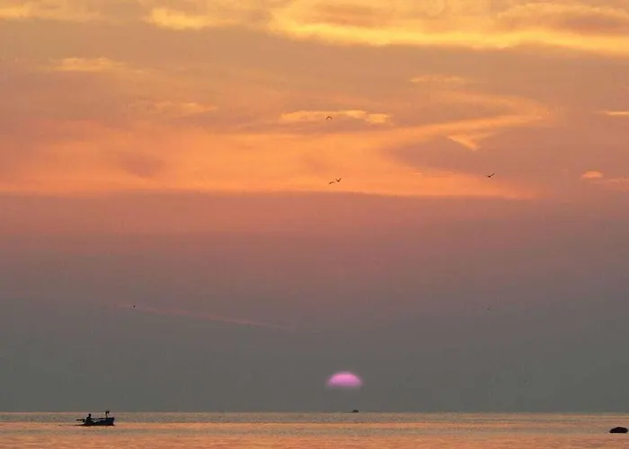 Istarski San Istrian Dream